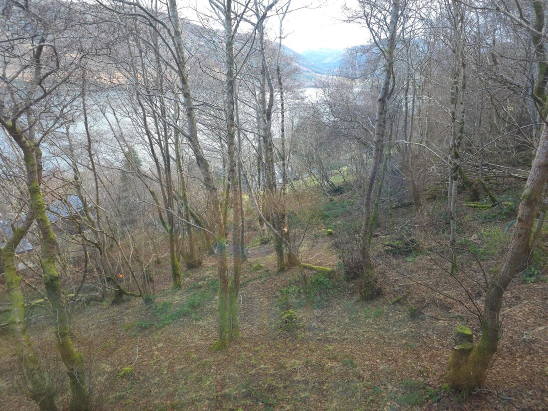 Tree Hoose - View Over Loch Broom.jpg