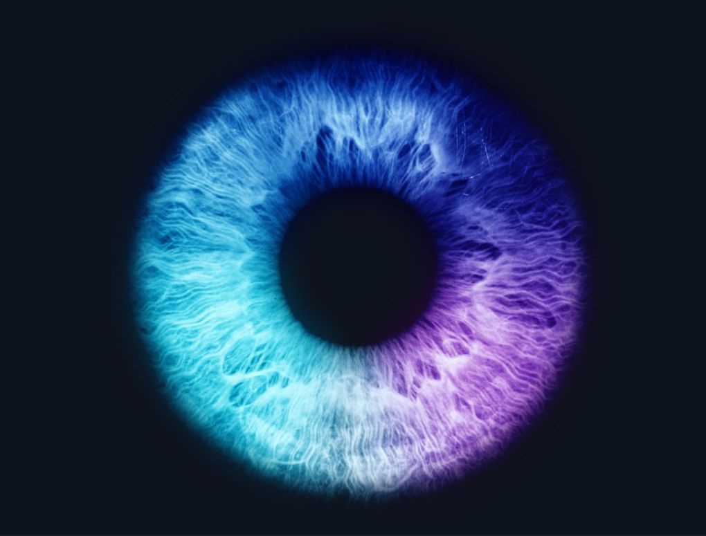 iris.jpg